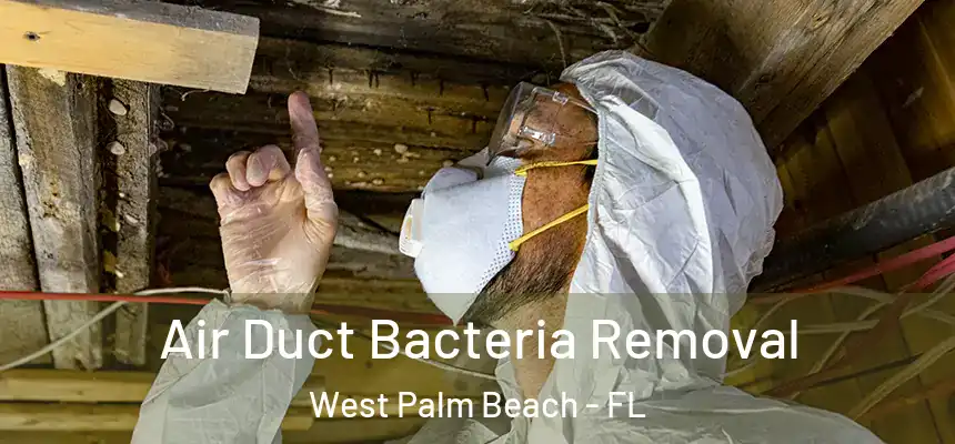  Air Duct Bacteria Removal West Palm Beach - FL