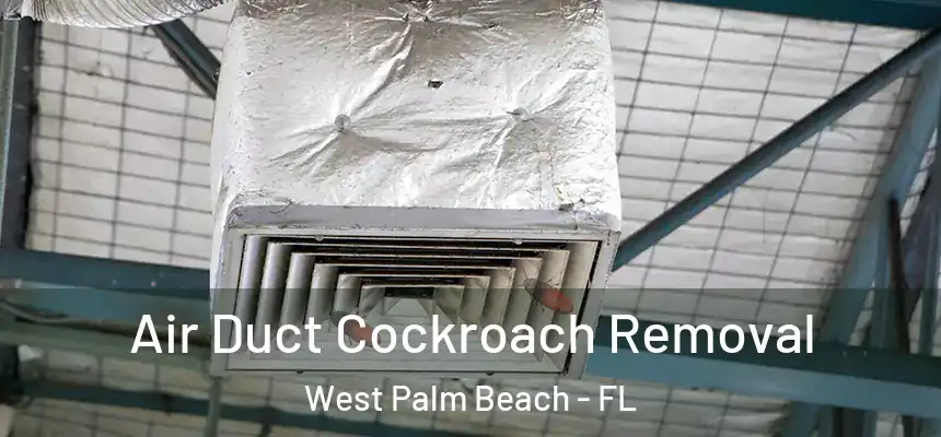  Air Duct Cockroach Removal West Palm Beach - FL