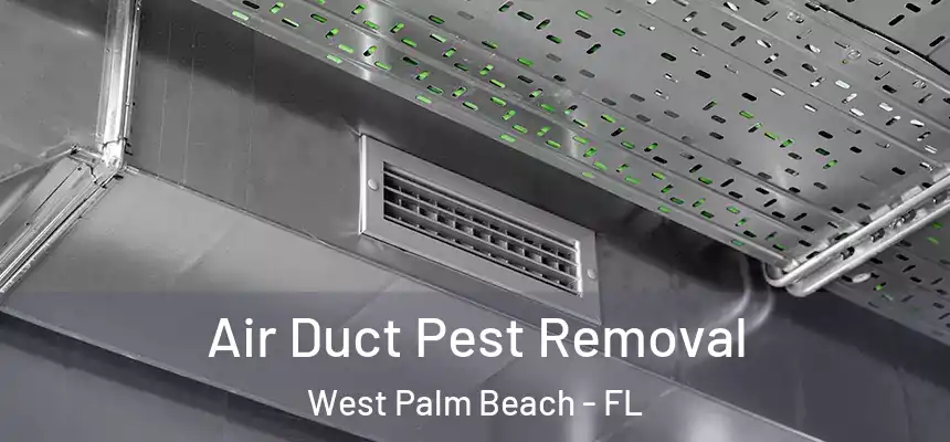  Air Duct Pest Removal West Palm Beach - FL