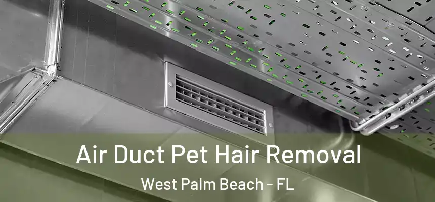  Air Duct Pet Hair Removal West Palm Beach - FL