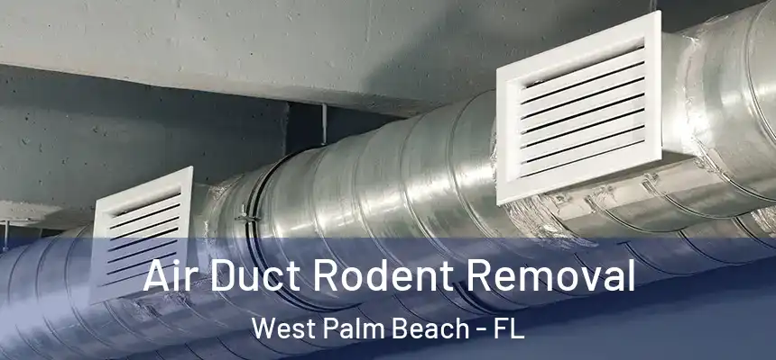  Air Duct Rodent Removal West Palm Beach - FL