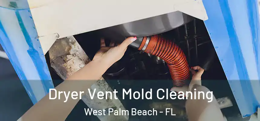  Dryer Vent Mold Cleaning West Palm Beach - FL
