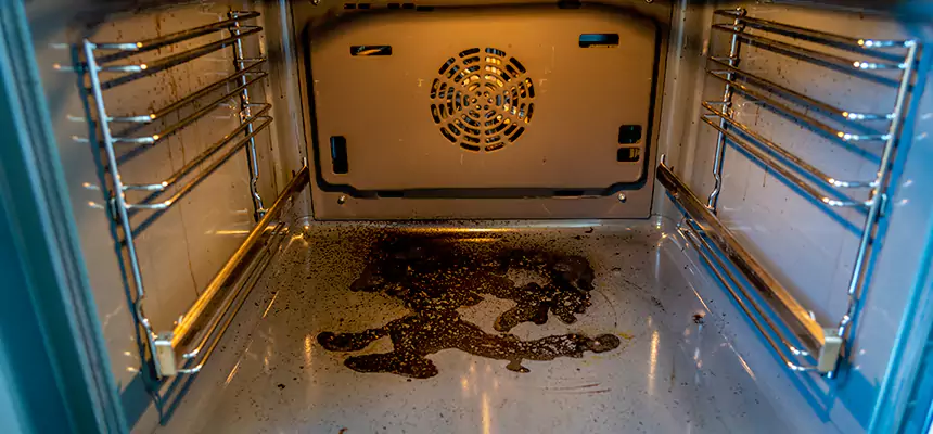 Our Dryer Vent Mold Cleaning Services in West Palm Beach, FL