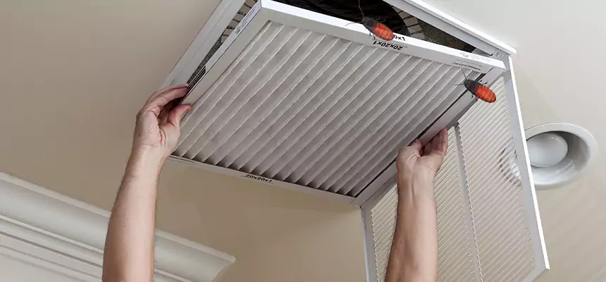 Our Insect Removal from Air Ducts Services in West Palm Beach, FL
