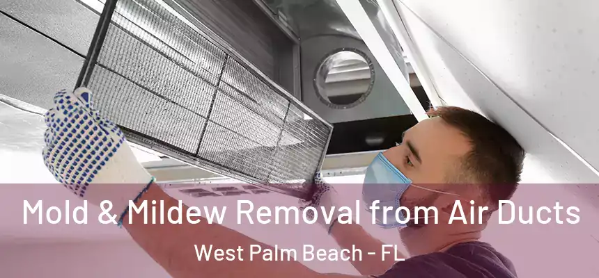  Mold & Mildew Removal from Air Ducts West Palm Beach - FL