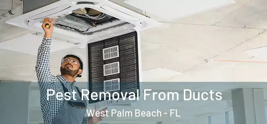  Pest Removal From Ducts West Palm Beach - FL