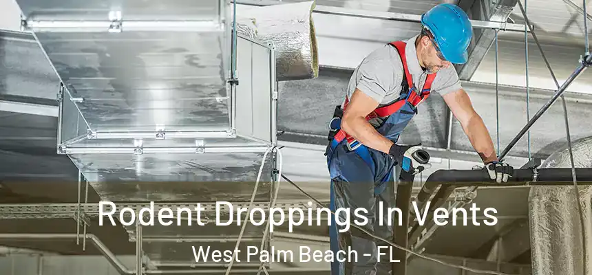  Rodent Droppings In Vents West Palm Beach - FL
