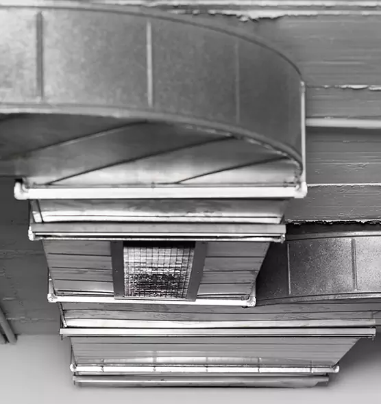 Professional Air Duct Pet Hair Removal in West Palm Beach, FL