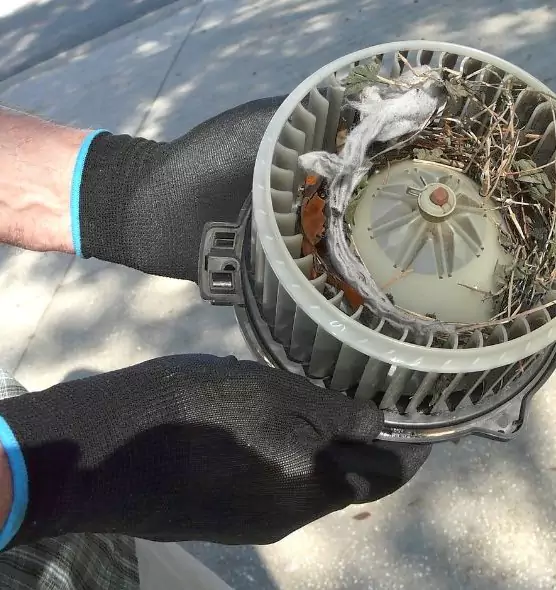 About Air Duct Rat Removal in West Palm Beach, FL