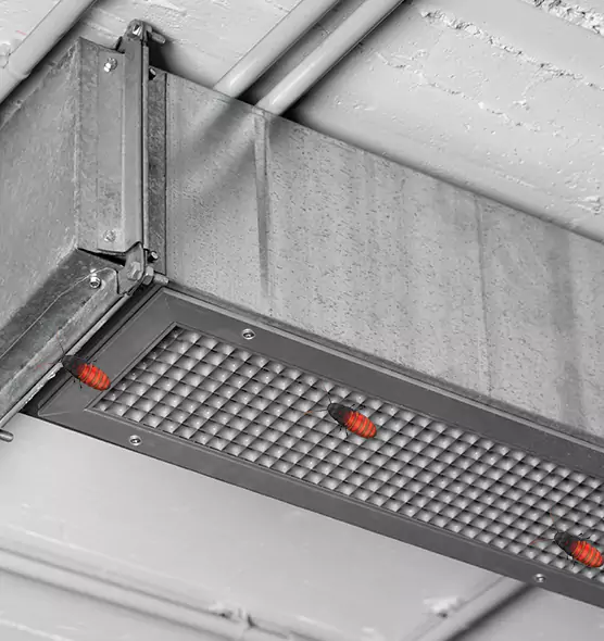 Affordable Insect Removal from Air Ducts in West Palm Beach, FL