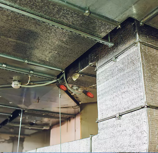 Why Homeowners & Businesses Trust Us West Palm Beach, FL?